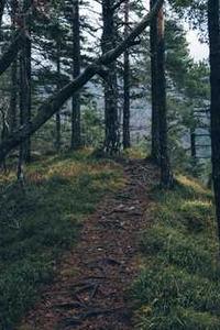 Emily Johnson